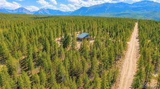 Lot 56 Lodgepole Drive, Twin Lakes, CO 80461