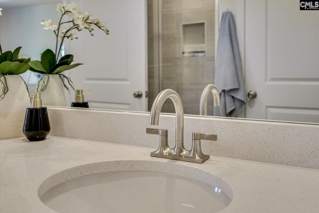 610 Basalt Court, Chapin, SC 29036