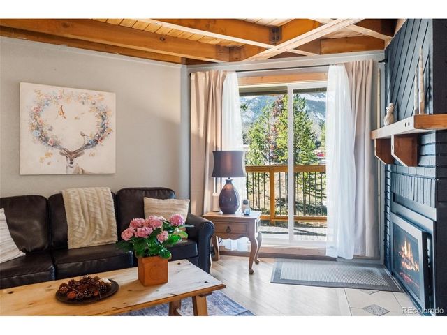 8500 Ryan Gulch Rd 206, Silverthorne, CO 80498