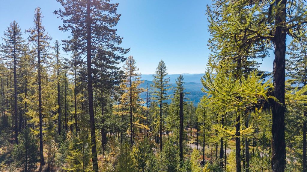 485 Elk Highlands Drive, Whitefish, MT 59937 photo 12