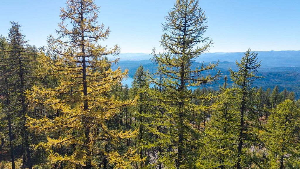 485 Elk Highlands Drive, Whitefish, MT 59937 photo 13