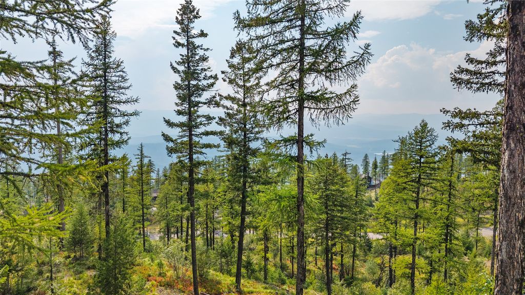 485 Elk Highlands Drive, Whitefish, MT 59937 photo 18