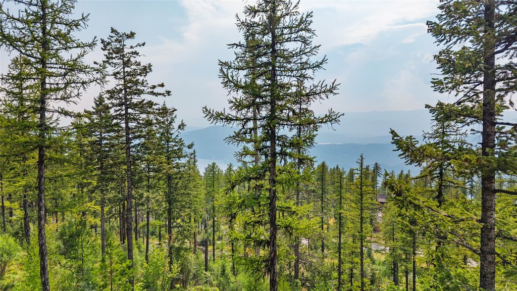 485 Elk Highlands Drive, Whitefish, MT 59937 photo 19