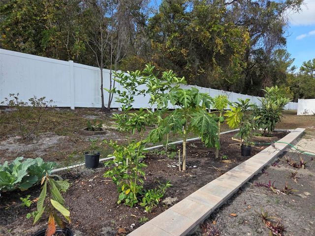 11345 HANIS STREET, New Port Richey, FL 34654