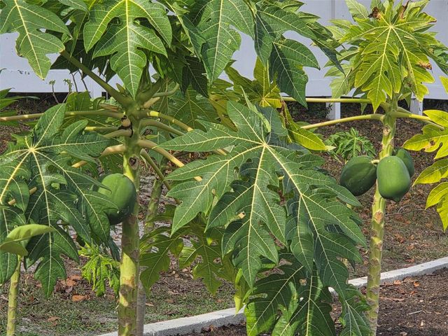 11345 HANIS STREET, New Port Richey, FL 34654