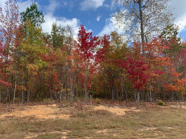 174 Volunteer Street Jf-398, Jasper, TN 37347