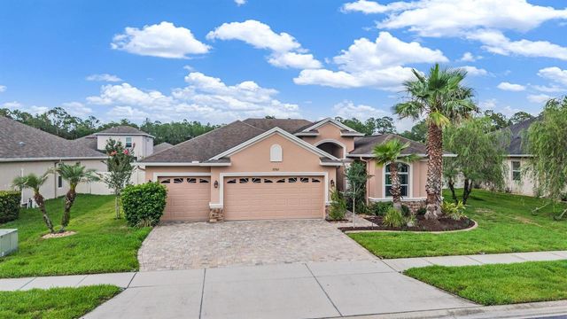 27205 HAWKS NEST CIRCLE, Wesley Chapel, FL 33544