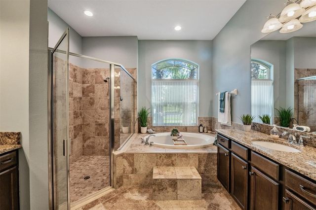 27205 HAWKS NEST CIRCLE, Wesley Chapel, FL 33544