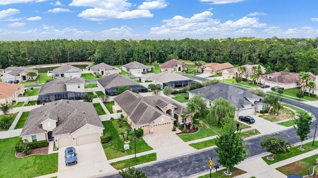 27205 HAWKS NEST CIRCLE, Wesley Chapel, FL 33544