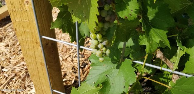 555 Fields Ln, Clarkson, KY 42726