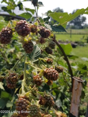 555 Fields Ln, Clarkson, KY 42726