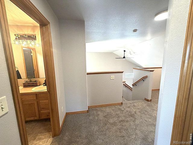 3243 Ambush Drive, Wellington, CO 80549