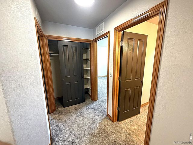 3243 Ambush Drive, Wellington, CO 80549