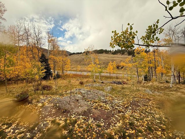 3726 Hwy 165, Wetmore, CO 81253