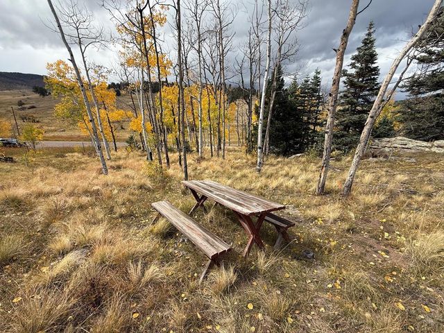 3726 Hwy 165, Wetmore, CO 81253