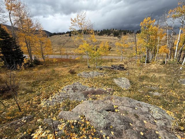 3726 Hwy 165, Wetmore, CO 81253