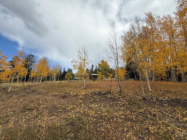 3726 Hwy 165, Wetmore, CO 81253