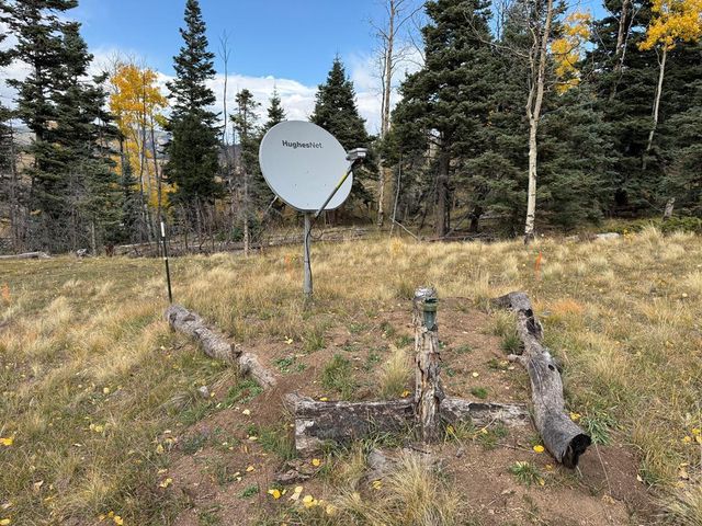 3726 Hwy 165, Wetmore, CO 81253