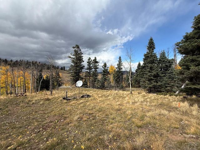 3726 Hwy 165, Wetmore, CO 81253