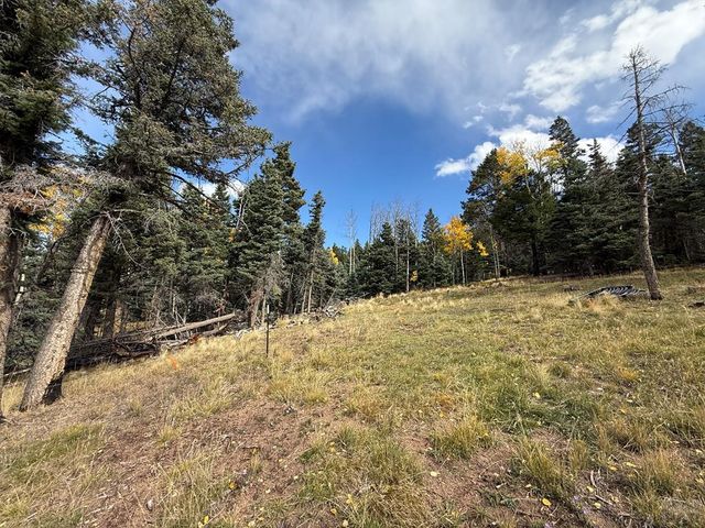 3726 Hwy 165, Wetmore, CO 81253