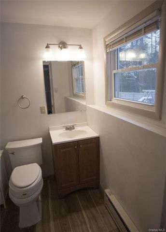 48 Yaun Avenue, Liberty, NY 12754