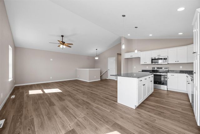 803 Indigo Drive, Palo, IA 52324