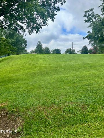 Tbd Brandon Lane, Kingsport, TN 37660