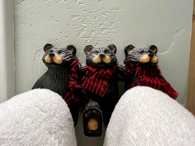 764 W COOLEY Lane 69, Lakeside, AZ 85929