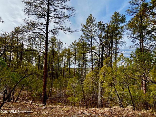 764 W COOLEY Lane 69, Lakeside, AZ 85929