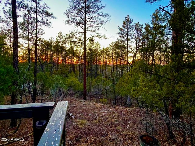 764 W COOLEY Lane 69, Lakeside, AZ 85929