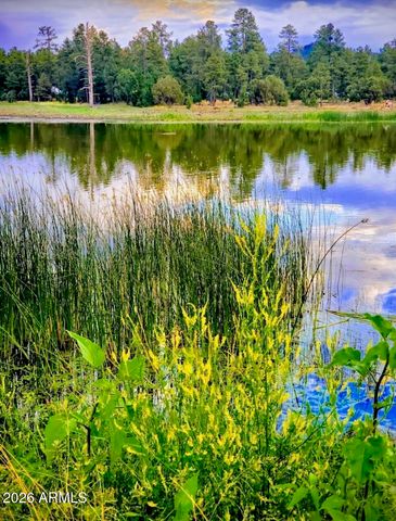 764 W COOLEY Lane 69, Lakeside, AZ 85929