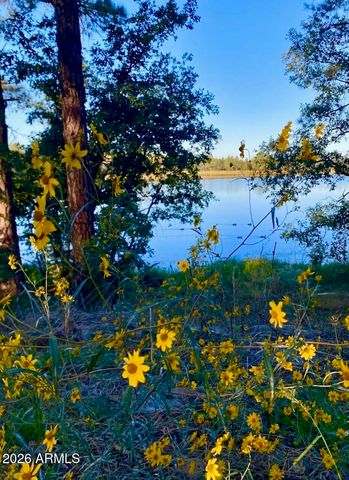 764 W COOLEY Lane 69, Lakeside, AZ 85929