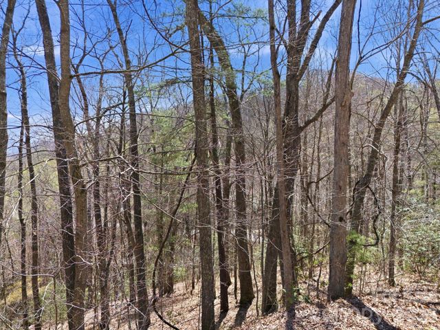 000 Signature Row Boulevard 10, Waynesville, NC 28785