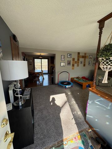 85204 Ballpark Road, Hollandale, MN 56045