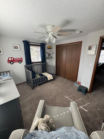 85204 Ballpark Road, Hollandale, MN 56045