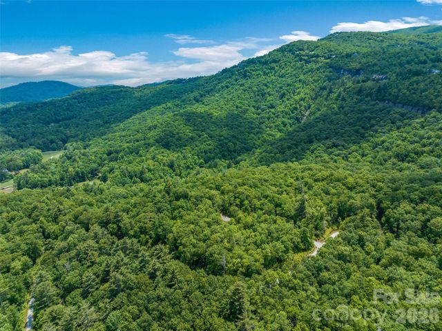 2 Cardinal Drive W TRP 2, Lake Toxaway, NC 28747