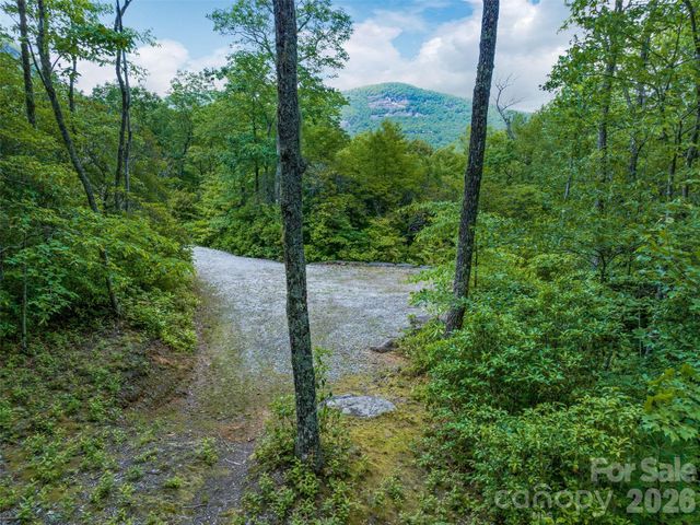 2 Cardinal Drive W TRP 2, Lake Toxaway, NC 28747