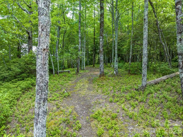 2 Cardinal Drive W TRP 2, Lake Toxaway, NC 28747