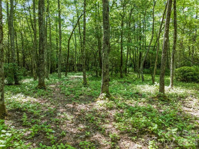 2 Cardinal Drive W TRP 2, Lake Toxaway, NC 28747