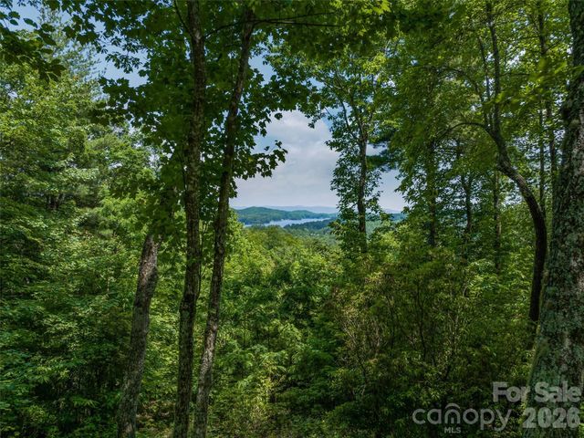 2 Cardinal Drive W TRP 2, Lake Toxaway, NC 28747