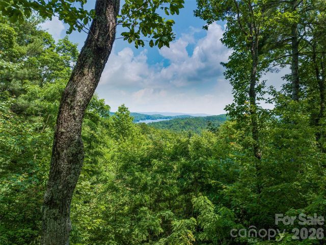 2 Cardinal Drive W TRP 2, Lake Toxaway, NC 28747
