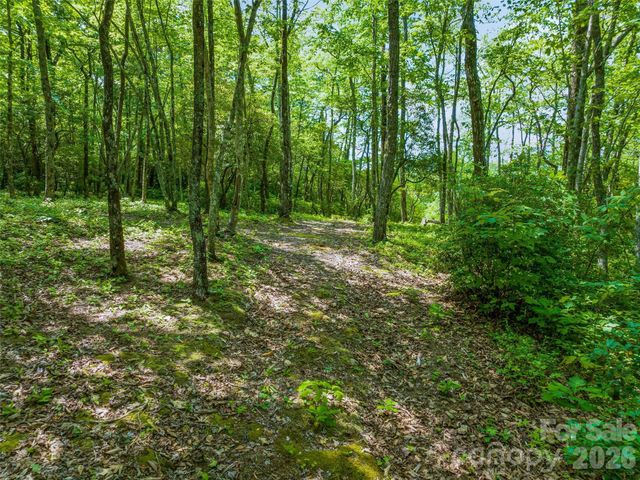 2 Cardinal Drive W TRP 2, Lake Toxaway, NC 28747