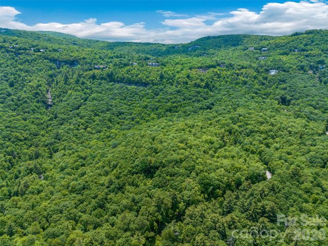 2 Cardinal Drive W TRP 2, Lake Toxaway, NC 28747