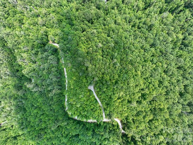 2 Cardinal Drive W TRP 2, Lake Toxaway, NC 28747