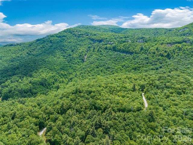 2 Cardinal Drive W TRP 2, Lake Toxaway, NC 28747