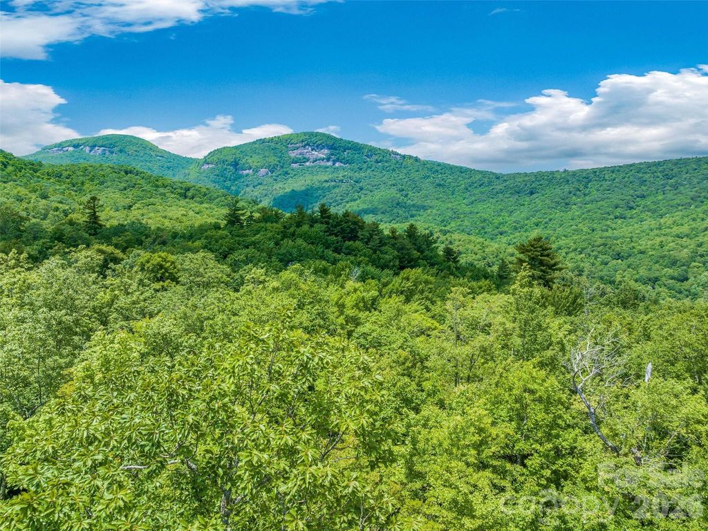 2 Cardinal Drive W TRP 2, Lake Toxaway, NC 28747