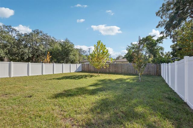 1807 E POWHATAN AVENUE, Tampa, FL 33610