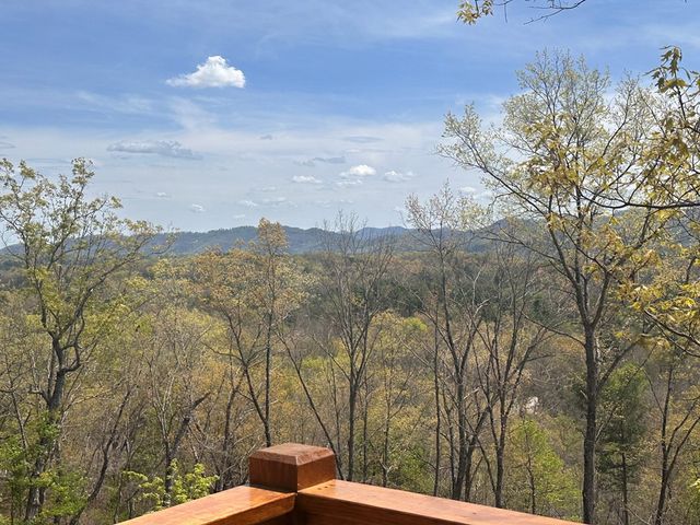 39 Horseshoe Branch, Murphy, NC 28906
