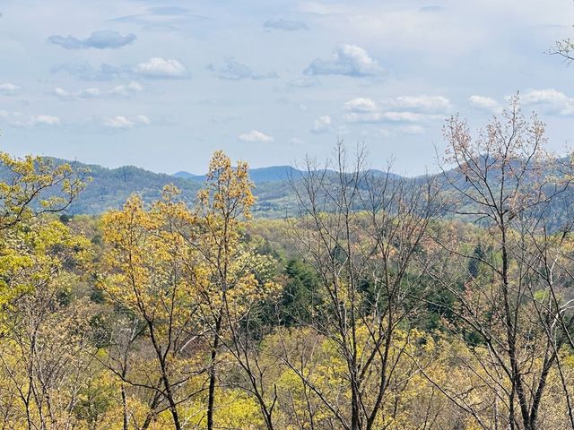 39 Horseshoe Branch, Murphy, NC 28906