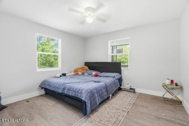 3807 Hampton Ave, Knoxville, TN 37914